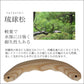 ◆ミニダレスバッグ  縦型  XSサイズ　琉球松木手セット【LIGHT】Y60　バーガンディ